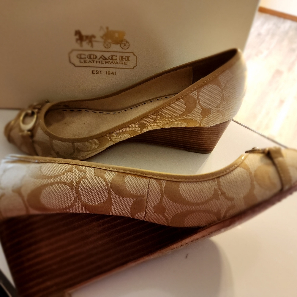Coach 12cm Precious Signature C sz9M